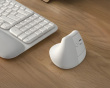 Lift Vertical Ergonomic Mouse - White
