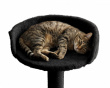 Table-Mounted Cat Bed - Black