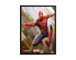 Spider-Man Card Sleeves