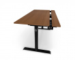 Arena Nordico - Walnut