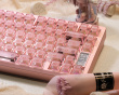 Slice75 HE Gaming Keyboard ANSI - Pink