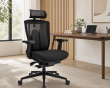 Ergonomic Lumbar Support - Black