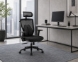Ergonomic Lumbar Support - Black