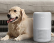 Core 300S Pro Smart HEPA Air Purifier