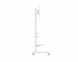 TV Stand with Shelves 50