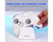 Charging Dock - White