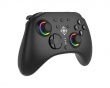 Wireless Switch 2 Controller with C-button - Black