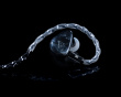 In Ear Monitors - Black