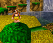 Banjo-Kazooie Double Pack