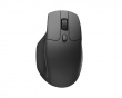 M6 Ergonomic Wireless Mouse - Black (DEMO)