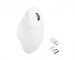 M7 Wireless Mouse - White (DEMO)