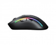 Model D 2 Wireless Gaming Mouse - Matte Black (DEMO)