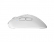 Xlite v4 Medium Wireless Gaming Mouse - White (DEMO)