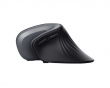 Verro Wireless Ergonomic Vertical Mouse - Black (DEMO)