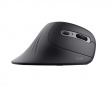 Verro Wireless Ergonomic Vertical Mouse - Black (DEMO)