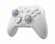 Direwolf 2 HE Wireless Controller - Grey (DEMO)