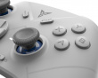 Direwolf 3 HE Wireless Controller - Grey (DEMO)