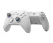 Direwolf 3 HE Wireless Controller - Grey (DEMO)