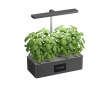 Hydroponic Growing System with LED – Indoor Garden for 12 Plants (DEMO)