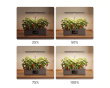 Hydroponic Growing System with LED – Indoor Garden for 12 Plants (DEMO)