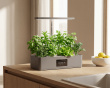 Hydroponic Growing System with LED – Indoor Garden for 12 Plants (DEMO)