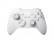 KP20D Wireless Hall-Effect Controller - White (DEMO)